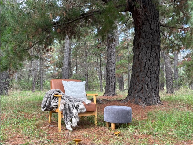 A chair and ottoman under pines